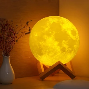 Moon Light, Fancy decoration