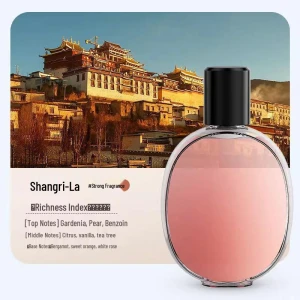 Wall-Mounted Aroma Diffuser, The Best Experience