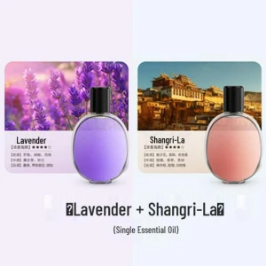 Smart Aroma Diffuser and Humidifier with Timer, The Best Experience