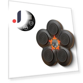 Smart Music Boxing Machine — Boxing Training Gear, ZC1