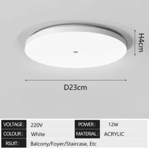 Ceiling Motion Sensor Light — Motion Sensor, Elegant Living House