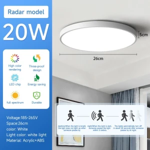 LED Ceiling Light with Motion Sensor, Rainbow Rain