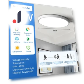 LED Ceiling Light with Motion Sensor — Overhead Lighting, Rainbow Rain