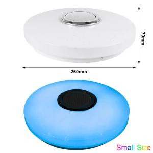 Smart LED Ceiling Light with Bluetooth Speaker — Desk Lamp, Build My Home