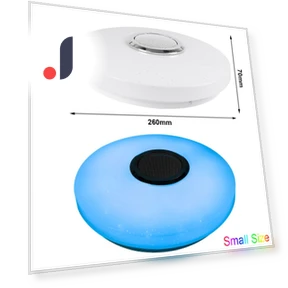 Smart LED Ceiling Light with Bluetooth Speaker — Overhead Lighting, Build My Home