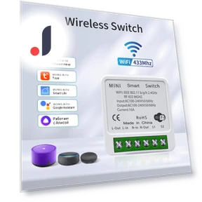 16A Tuya WiFi DIY Smart Switch — Smart Home Modules, Lntelligent Living Hall