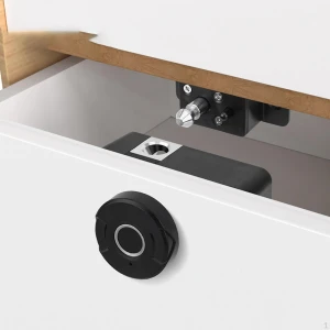 Smart Electric Lock for Cabinet, Love DIY