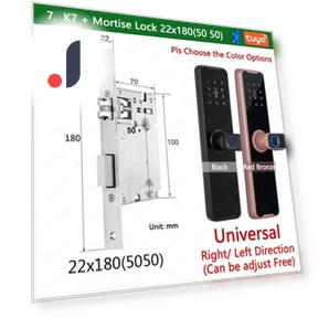 Biometric Fingerprint Smart Lock — Smart Home Security, Super Dream Home