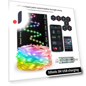 Dreamcolor USB LED RGB Fairy Lights — String Lights, AE Selection