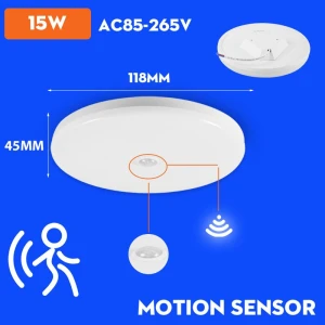 LED Ceiling Light with Motion Sensor, AE Selection