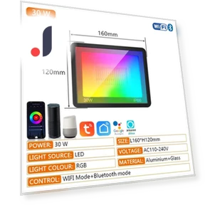 RGB TUYA Floodlight — Outdoor Security & Flood Lighting, AE Selection