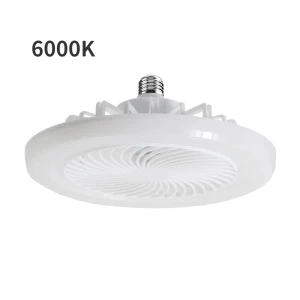 Ceiling Fan with Light, Build My Home