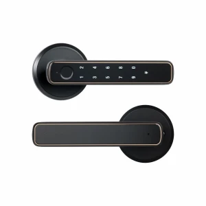 Smart Fingerprint Door Lock, Super Dream Home