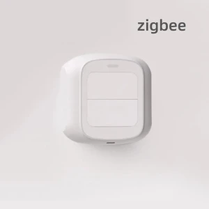 Wireless 2-Channel Scene Switch ZigBee Push Remoter Panel — Smart Home Hub, Home Of Auto Parts