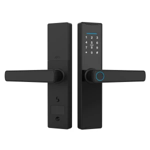 WiFi Smart Lock Keyless Entry Door Lock, Neoglint