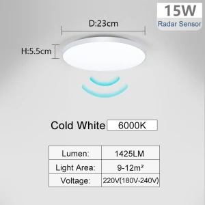 LED Ceiling Light with Radar Sensor, Rainbow Rain