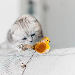 Squeaky Bird Cat Toy, Love DIY