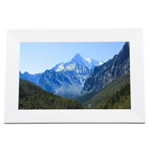 10.1-inch Digital Photo Frame, DIYelecs