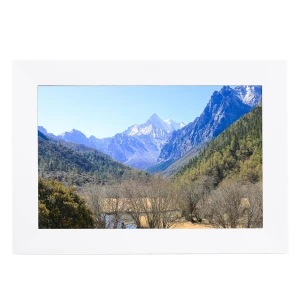 Digital Photo Frame, DIYelecs