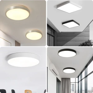 Voice Control Sensor Ceiling Light, Shoes Arena