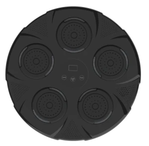 Bluetooth Music Boxing Wall Trainer, TopSky