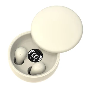 AI Translation Headset Invisible Stereo Headphones, Fairy Expounds