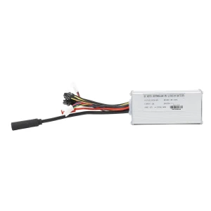 Electric Bike Controller, Sport2ZY