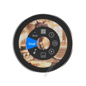 AI Voice Chat with Round Display, ElectroCN