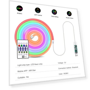 RGBIC Neon LED Strip — LED Strips, HOME-Auto-001