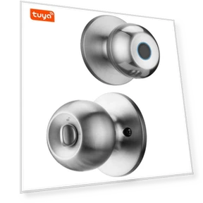 Smart Door Lock with Fingerprint Scanner — Biometric Security, Crown Global