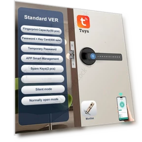 Smart Fingerprint Door Lock — Electromagnetic Security Locks, The Romantics