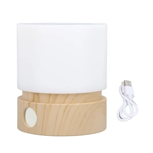 Adjustable Brightness Rechargeable Night Light with Timer and Touch Control, CosyHome