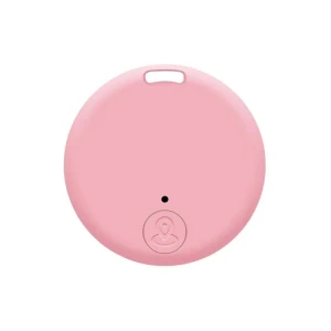 Mini Bluetooth Outdoor Anti-lost Device — Dog GPS Tracker, A Surname Home
