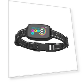 Ultrasonic Bark Collar — Anti-Bark Training Devices, Homedepot