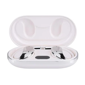 AI Translator Earbuds, Wrigleys