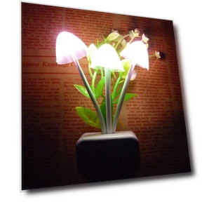 Night Light with Mushroom Mount — Night Lights, TOP-MALL-001