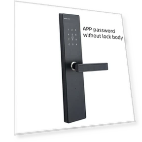 Smart Fingerprint Door Lock — Biometric Security, Crown Global