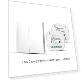 WiFi Smart Switch with Voice Control — Smart Home Hubs & Controllers, StrideBox