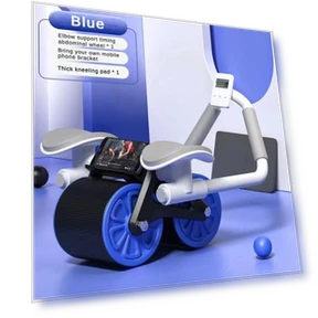 Double Wheel Abdominal Trainer — Core & Ab Trainers, Sea Global