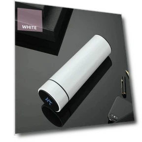 Smart Water Bottle with Temperature Display — Travel Drinkware, Super Dream Home