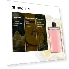 Smart Aromatherapy Diffuser with Night Light — Diffusers, Vinde Home