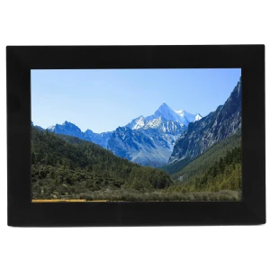 Digital Photo Frame, DIYelecs