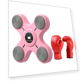 Electronic Boxing Trainer — Boxing Training Gear, Closet of Beauty