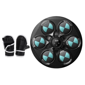 LED Bluetooth Smart Electronic Music Training Boxing Bag — Smart Boxing Trainer, Binchi Keji Travel