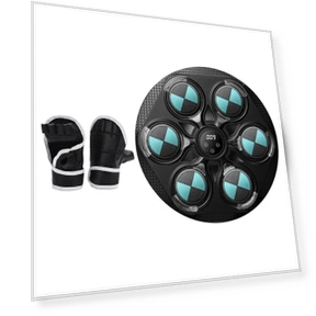 LED Bluetooth Smart Electronic Music Training Boxing Bag — Boxing Training Gear, Binchi Keji Travel