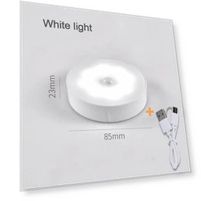 Motion and Presence Sensor LED Night Light — Night Lights, Actually lighting