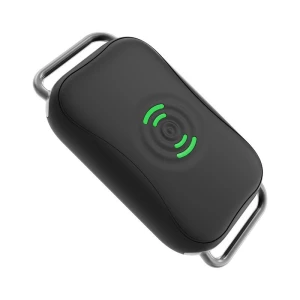 Smart GPS 4G Pet Collar — Dog GPS Tracker, RW-MARTKE