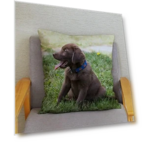 Smart Labrador Retriever Pillow Cover — Pillow Covers, zheyu