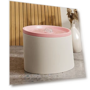 Automatic Water Dispenser for Cats — Pet Hydration Solutions, Pet family bucket