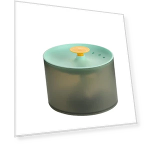 Automatic Water Dispenser for Pets — Feeding Supplies, Pet family bucket